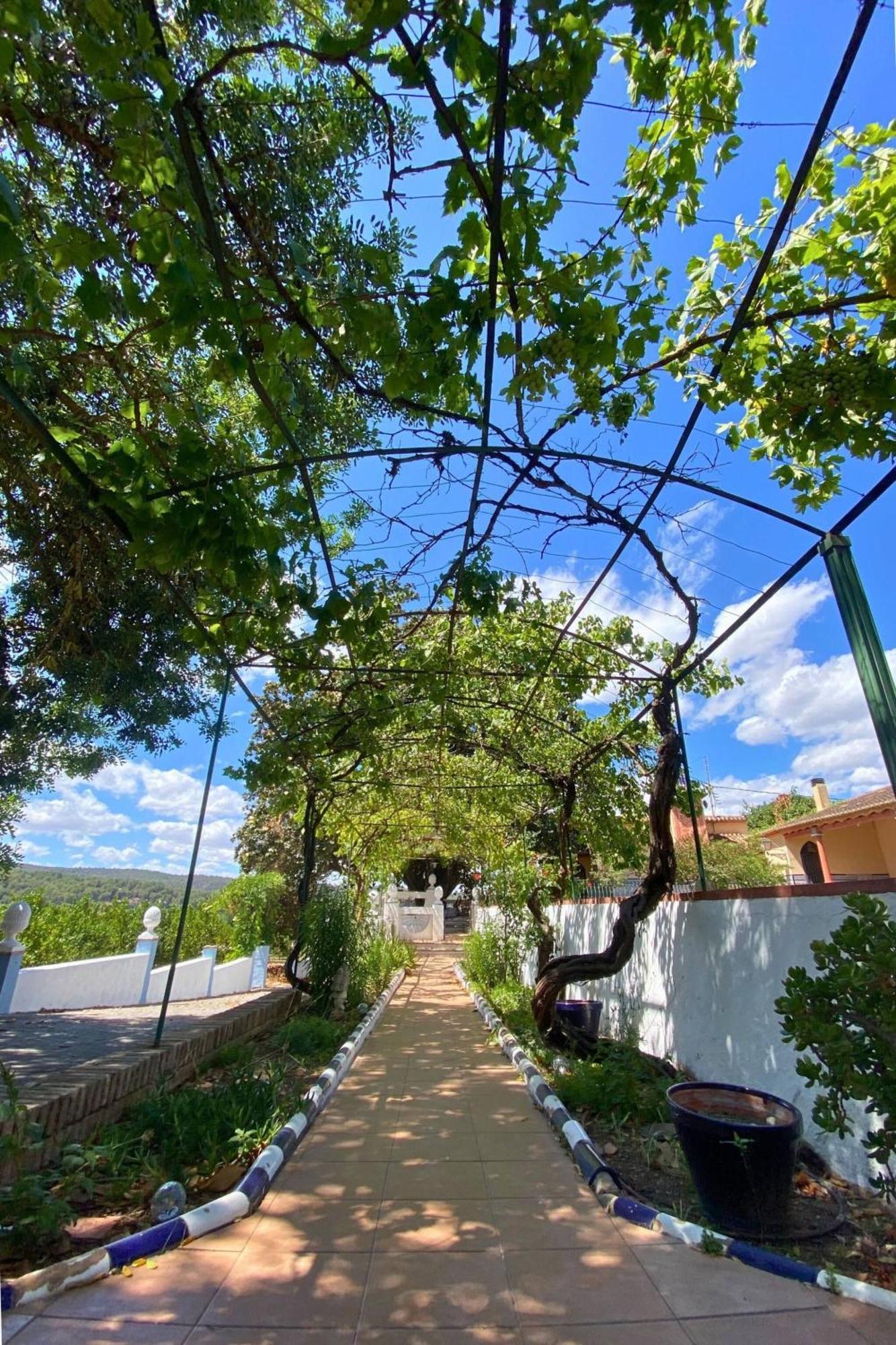 Casa Magnolia, A Rural Paradise House With Pool Alzira Exterior foto