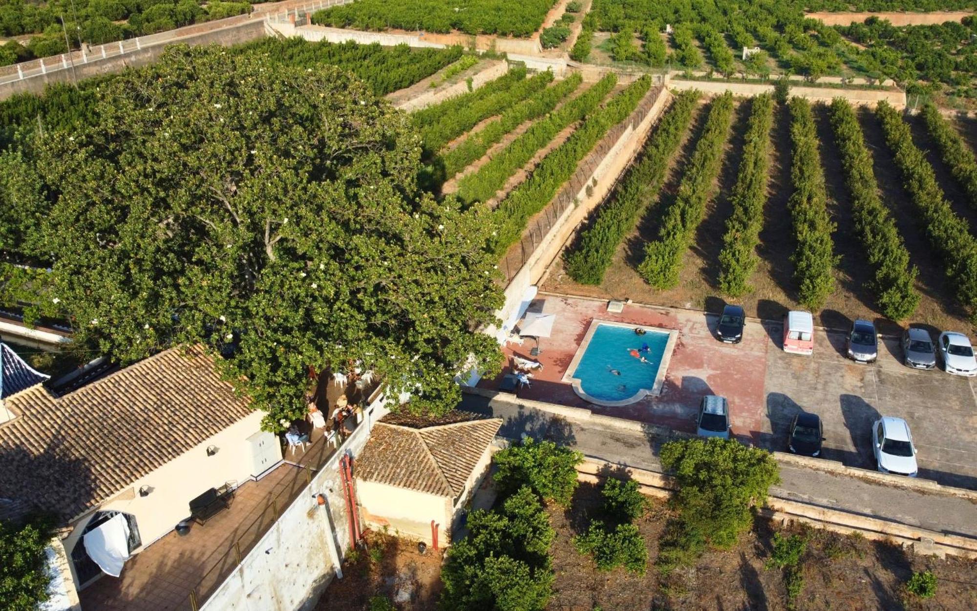 Casa Magnolia, A Rural Paradise House With Pool Alzira Exterior foto